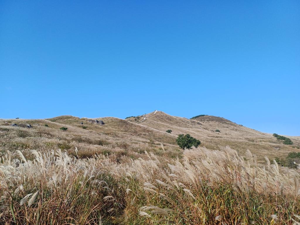 2023 10 - 11  황매산   억새
