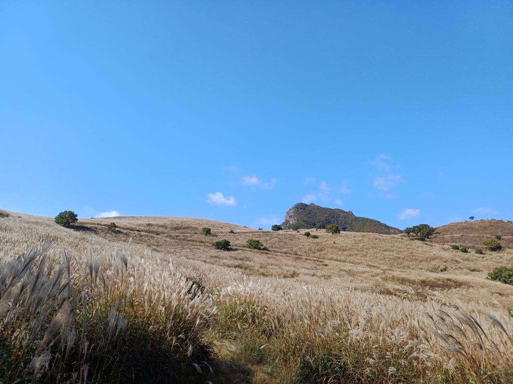 2023   10  - 16   황매산  억새