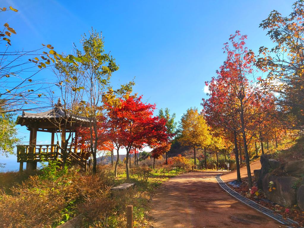 정자 전망대