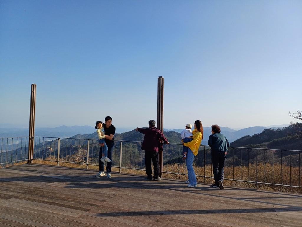 나눔카트 투어