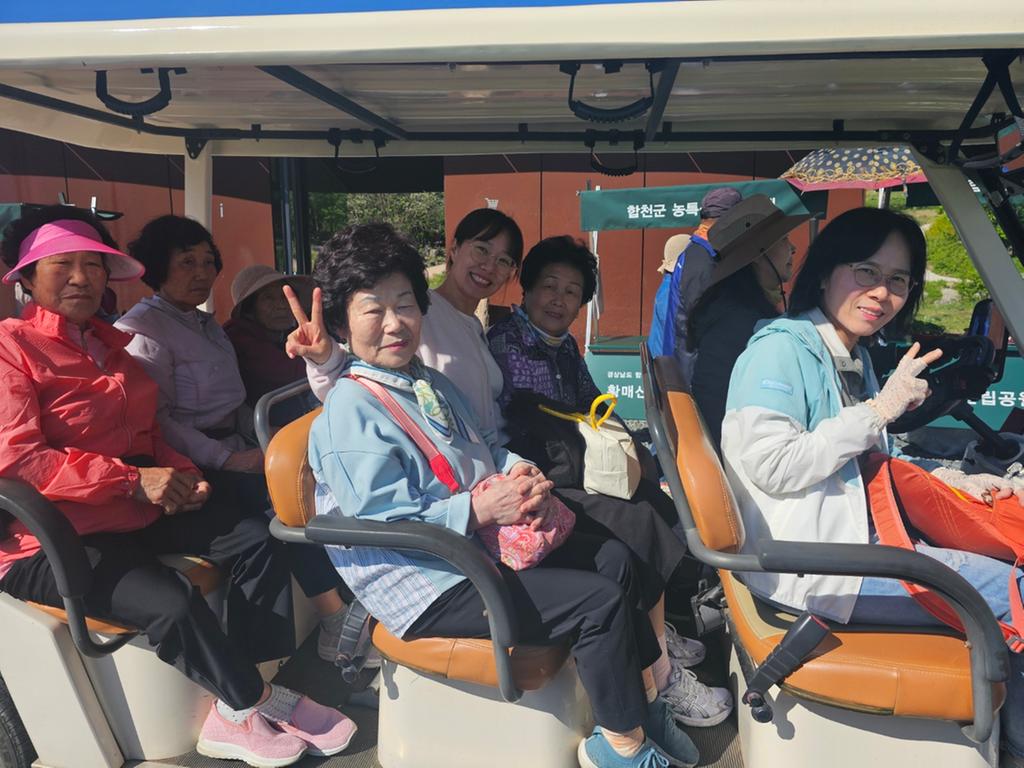 나눔카트 투어