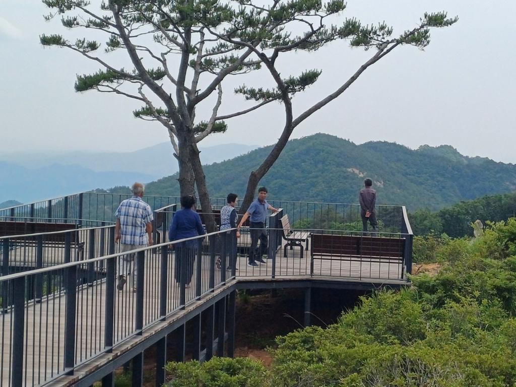 나눔카트 투어