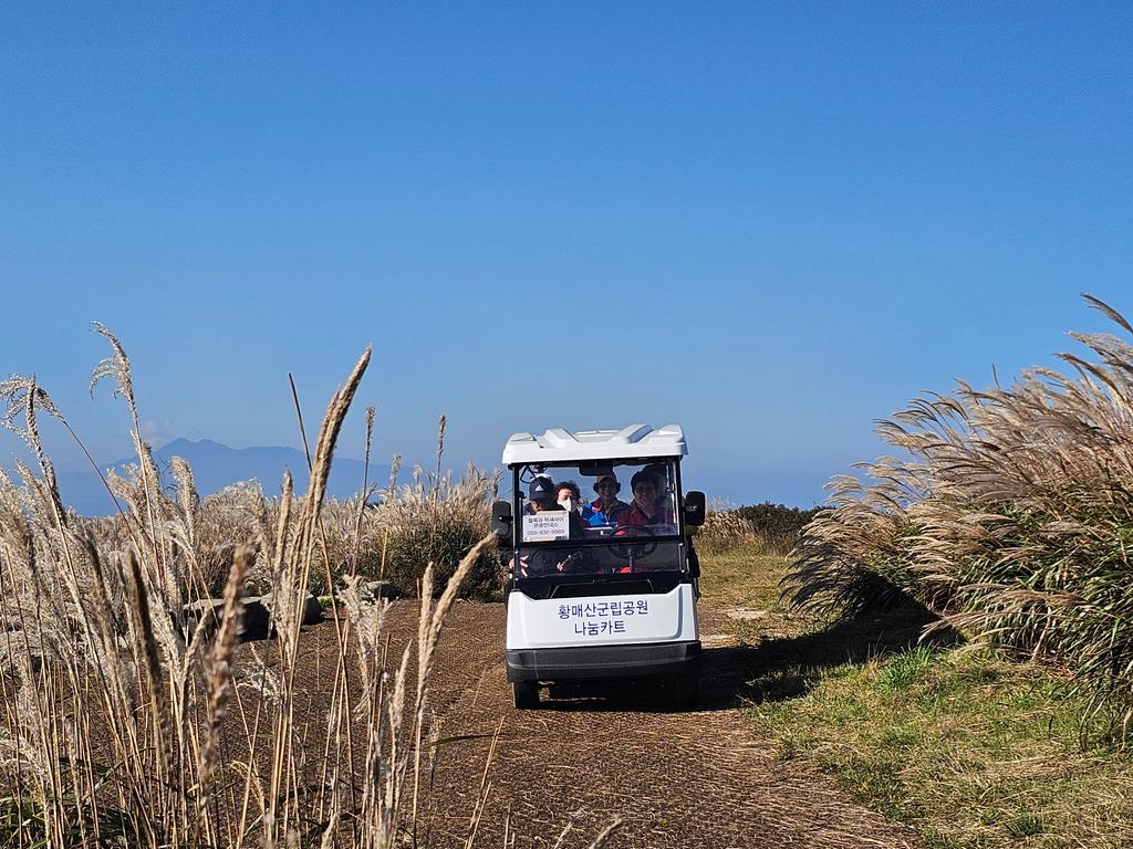 파란하늘의 배경이 멋지네요!