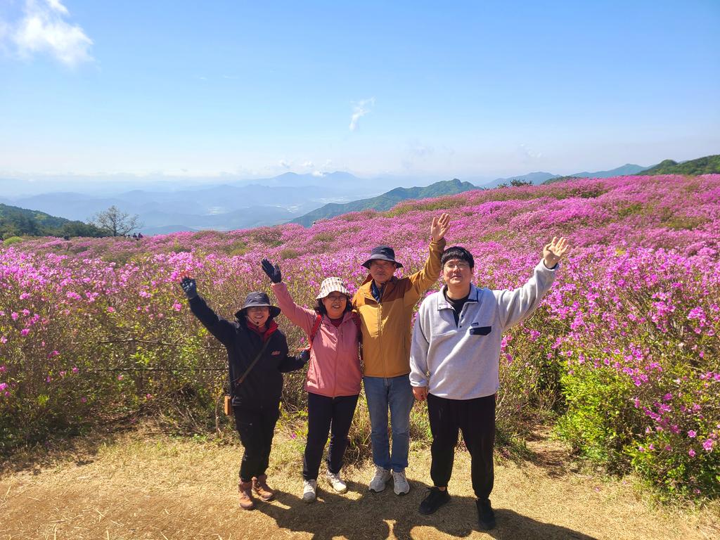 철쭉