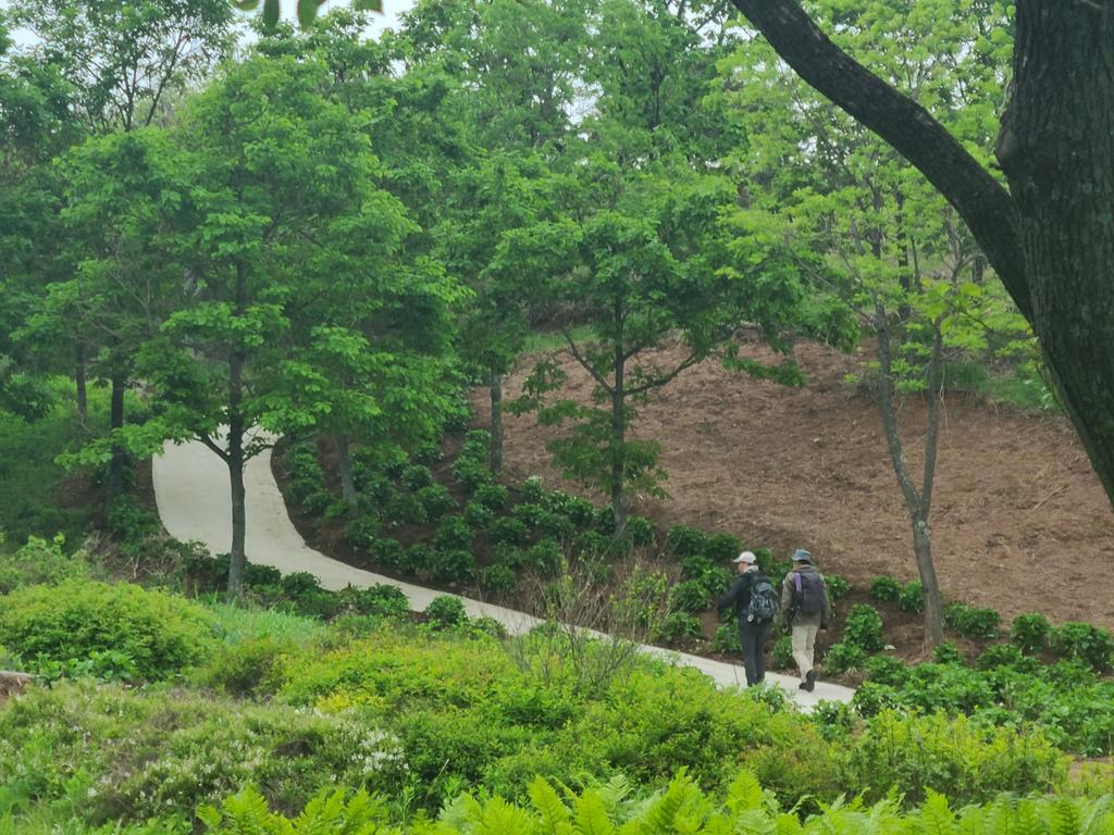정상을 향해 고고!