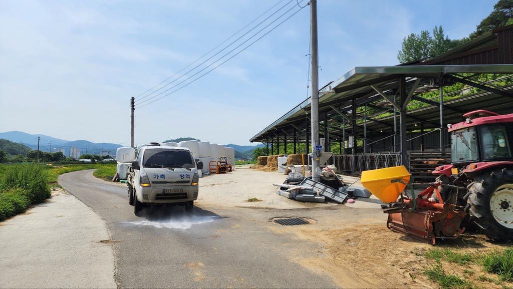 합천군, 구제역 발생 대비 “차단방역” 총력