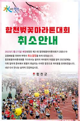 제21회 합천벚꽃마라톤대회 취소 안내 포스터