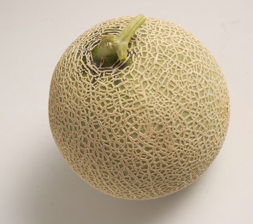 메론