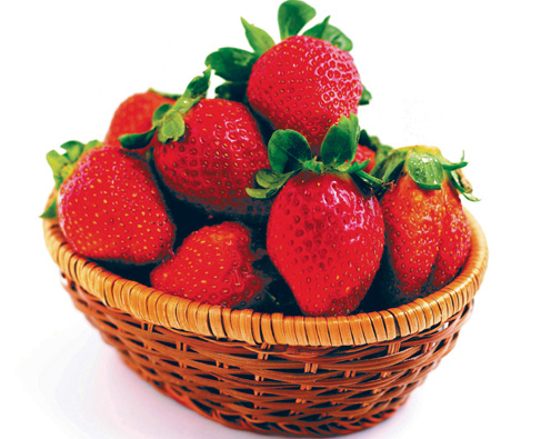 친환경 딸기